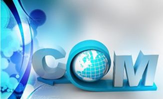 引爆新品牌 快速有效的品牌運營與營銷策劃實戰指南